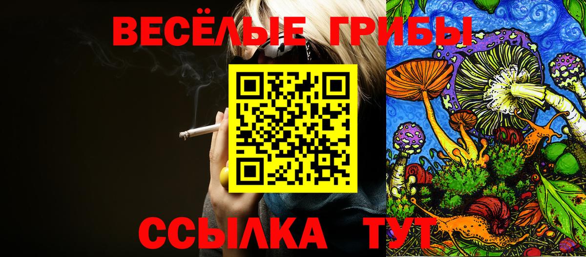 Унеча  Галлюциногенные грибы прущие грибы  Вход с VPN  Псилоцибиновые грибы Magic Shrooms 